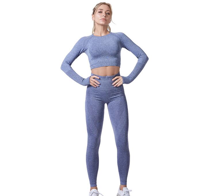 Women Vital Seamless Yoga Set Gym Clothing Fitness Leggings+Cropped Shirts Sport Suit