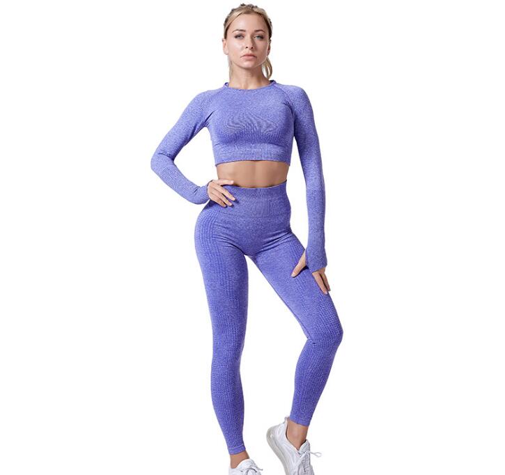 Women Vital Seamless Yoga Set Gym Clothing Fitness Leggings+Cropped Shirts Sport Suit