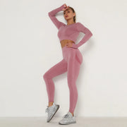 Seamless Women Gym Set Long Sleeve Top High Waist Belly Control Sport Leggings Gym Clothes Seamless Sport Suit Sexy Booty Girls