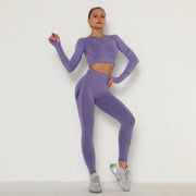 Seamless Women Gym Set Long Sleeve Top High Waist Belly Control Sport Leggings Gym Clothes Seamless Sport Suit Sexy Booty Girls